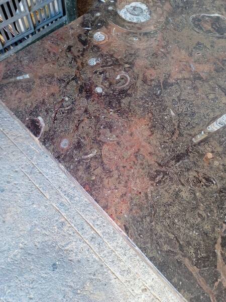 Fossil marble design coffee table 124cm