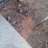 Fossil marble design coffee table 124cm