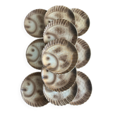 12 fish dinner plates