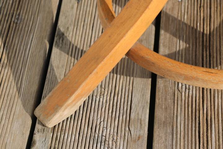 Baumann parrot coat rack simple clear