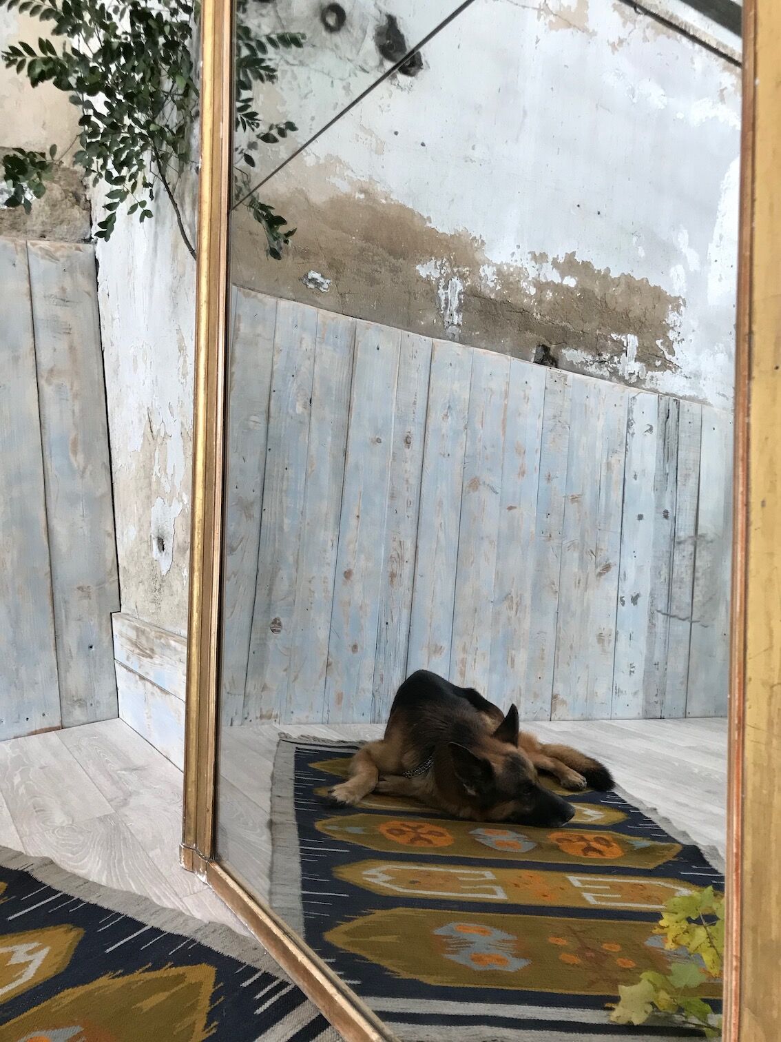 Golden rectangular mirror - 171x127cm