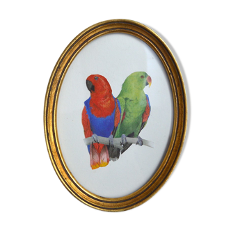 Pair of parrots under golden frame
