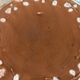 Slush plate