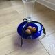 Fruit bowl No. 402 by Borek Sipek and David Palterer for Alterego