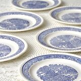 6 vintage country plates