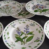 8 assiettes dessert fleurs