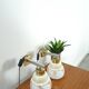 Design wandlampen Kamenicky Senov met melkglas kap vintage