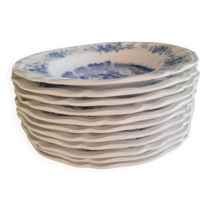 Assiette sarguemine collection