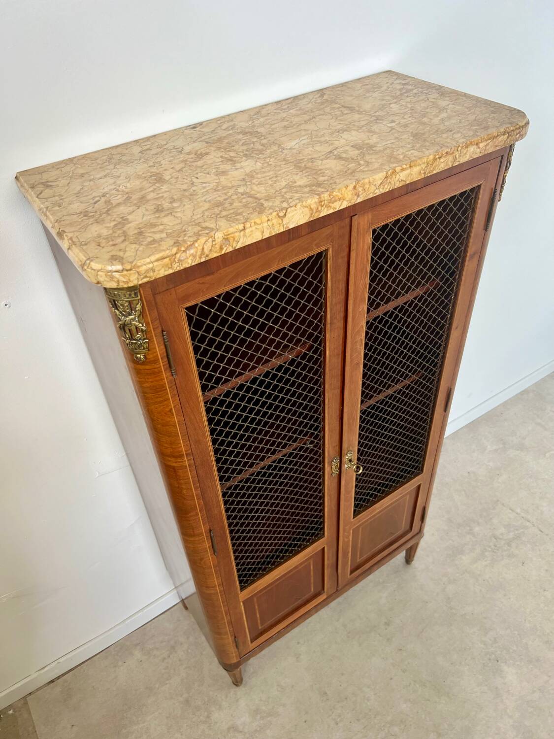 Old display case library with wire mesh from the Napoleon III period, late 19th century