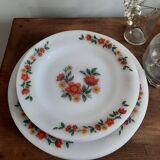 Assiettes Arcopal