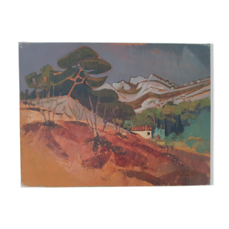 Landscape of provence with a shed, oil on canvas, signed on the back