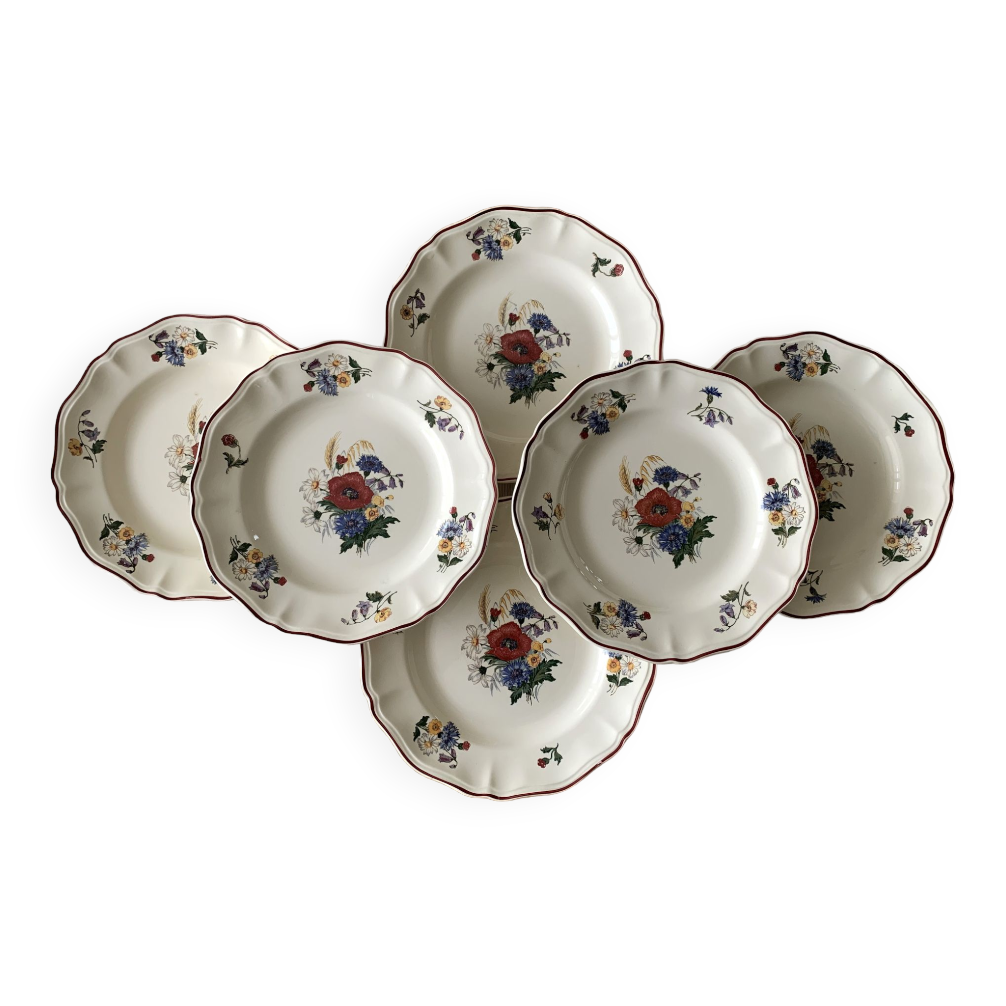 6 large old flat plates in Sarreguemines earthenware