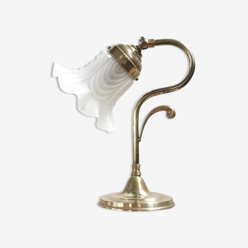 Brass gooseneck lamp