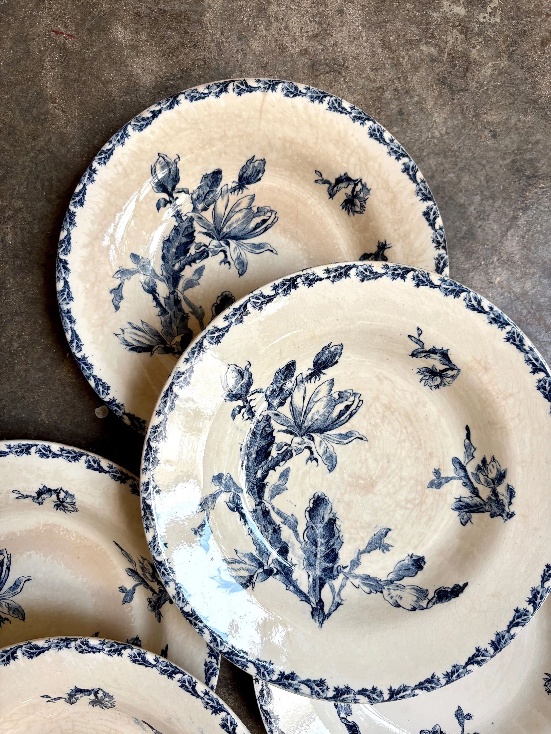 6 deep plates Gien in blue ironstone, "Cactus" service.