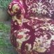 Fauteuil crapaud