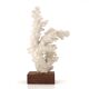 Natural white coral on a wooden base, 1970s.