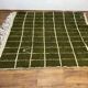 Moroccan Berber rug 2.5 x 1.5 m