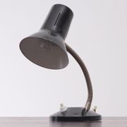 Small Hala Zeist Desk Lamp Holland, 1950s