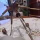 Vintage Scandinavian chandelier with 5 arms (1950s–60s)