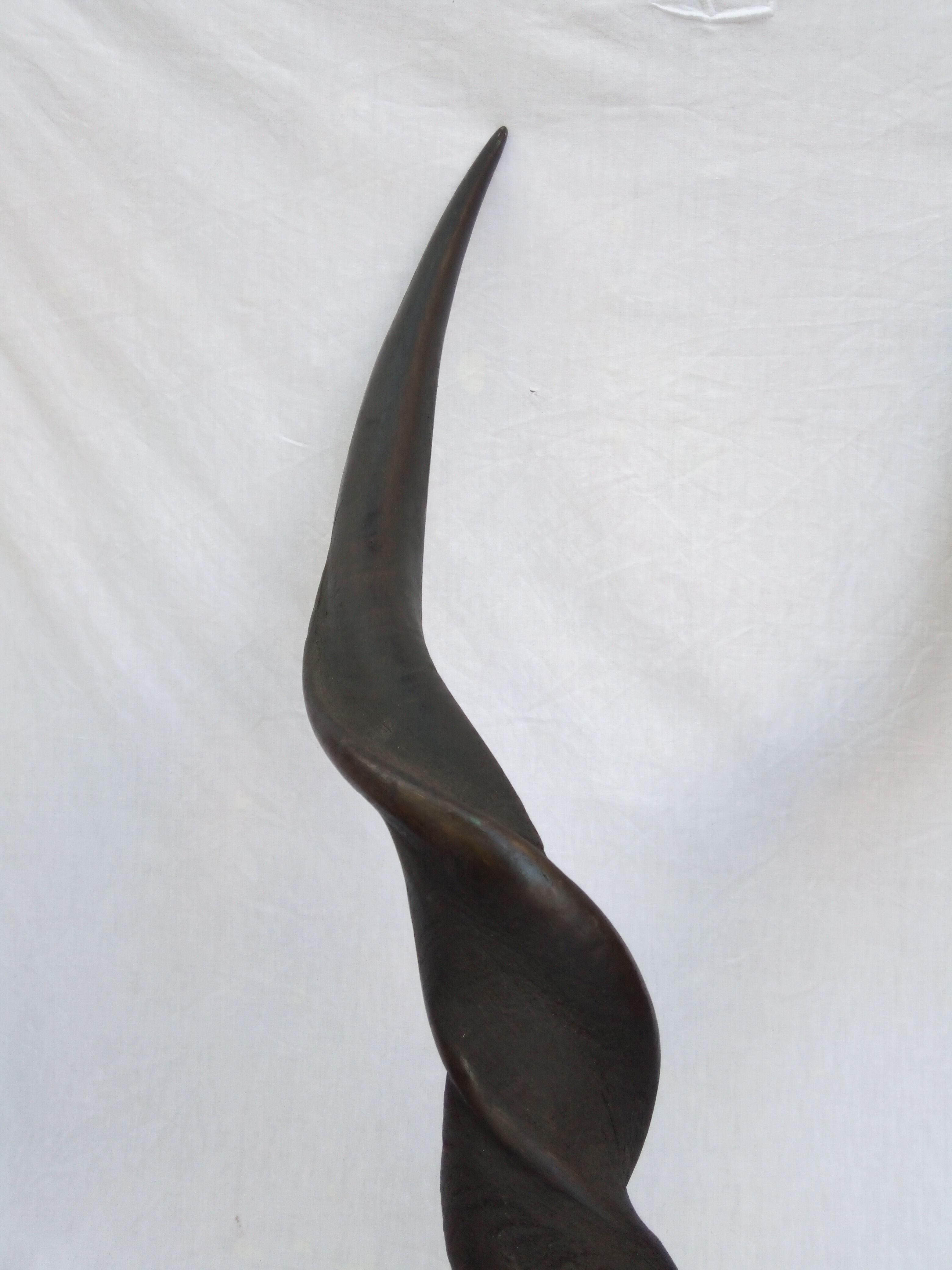 Ancient and very large hunting trophy. Derby Elk