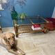Vintage rattan and glass coffee table