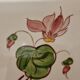 Duo of cyclamen bottle underwear
