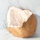 Ancient watercolor depicting an open coconut