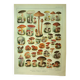 Antique engraving 1921 - Mushroom - vintage lithograph plate
