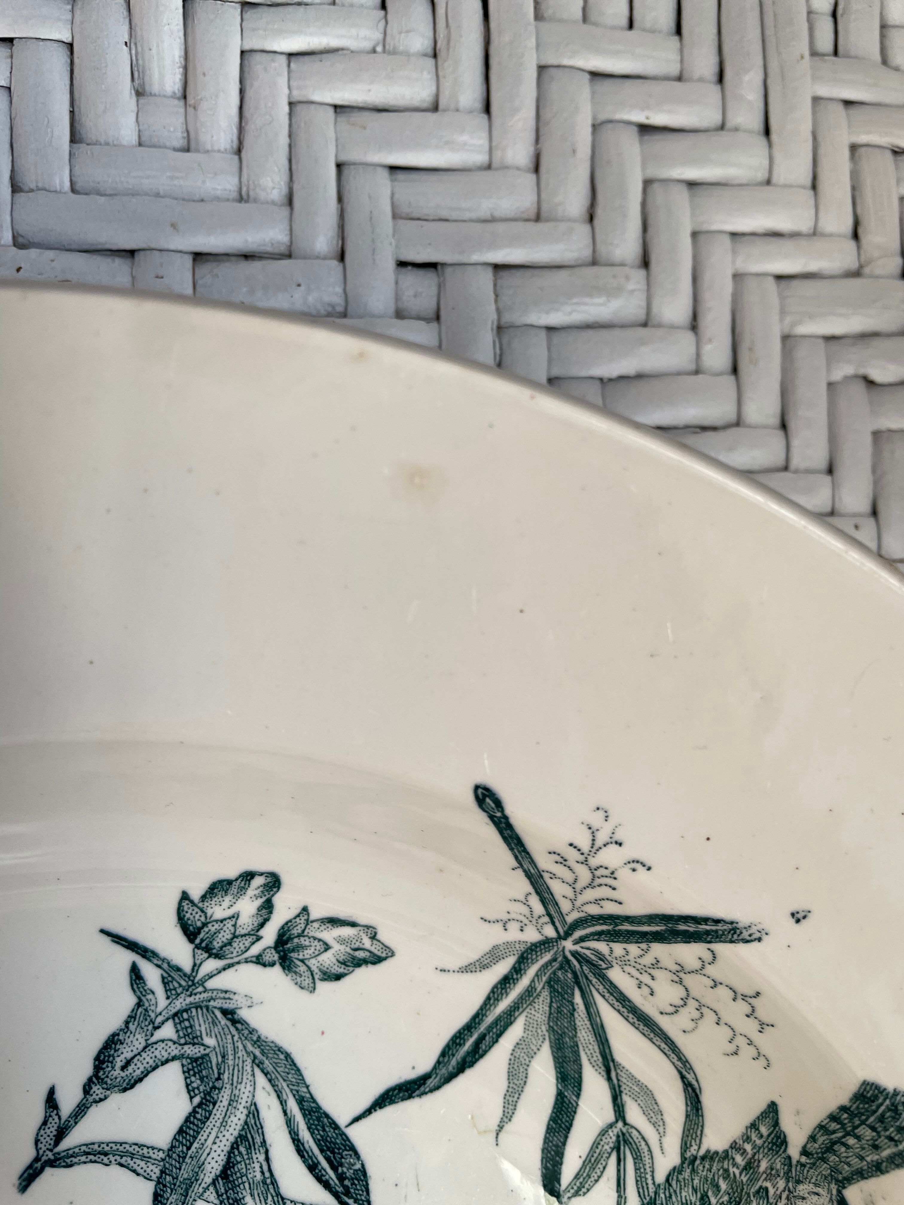 Hollow dish Saint Amand & Hamage "Aucella"