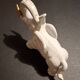 Ancient ceramic animal