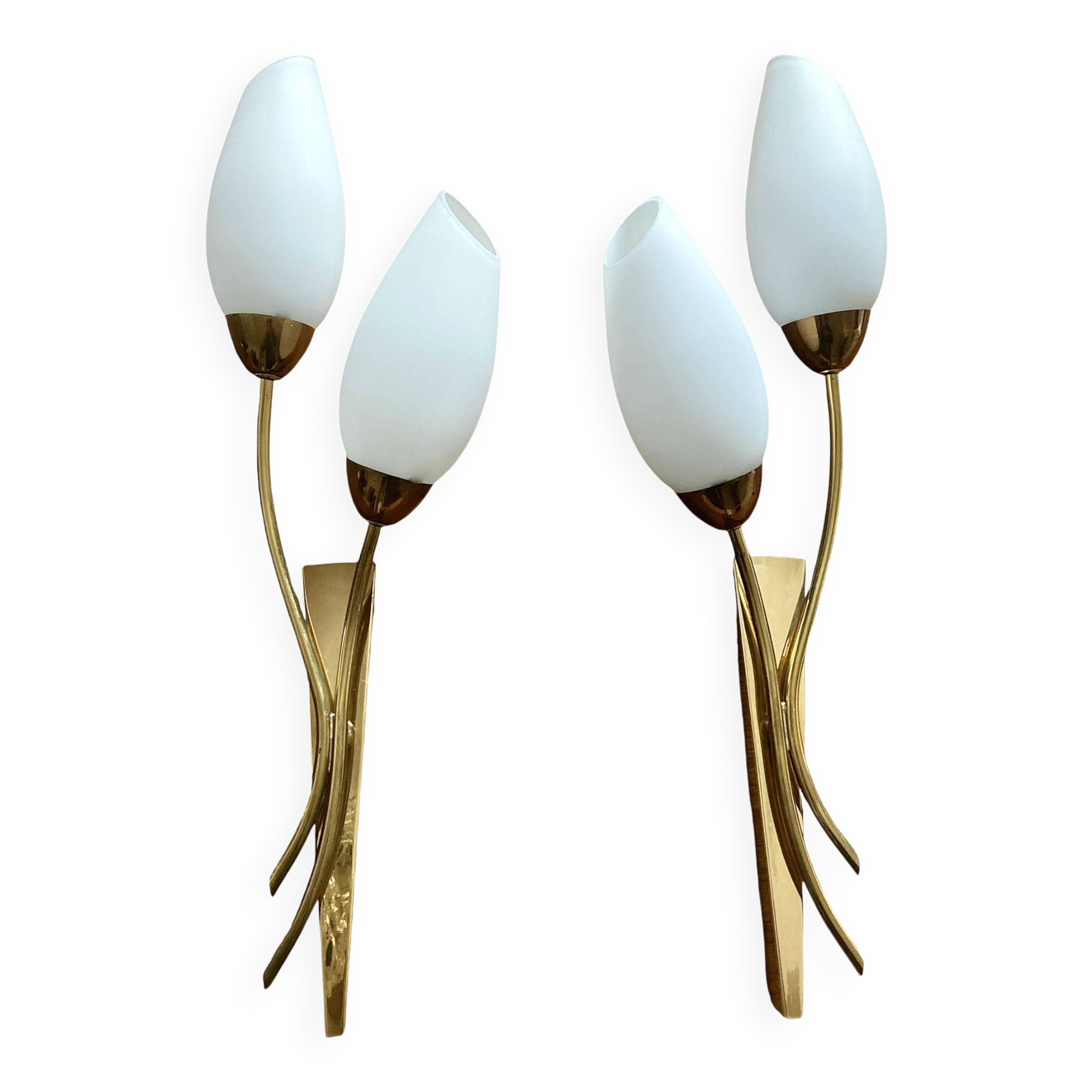 Brass and white opaline wall lights, "Tulip" type, 1950