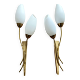 Brass and white opaline wall lights, "Tulip" type, 1950