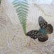 Butterfly wood tray