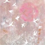 Art print, Flight and pink sun.