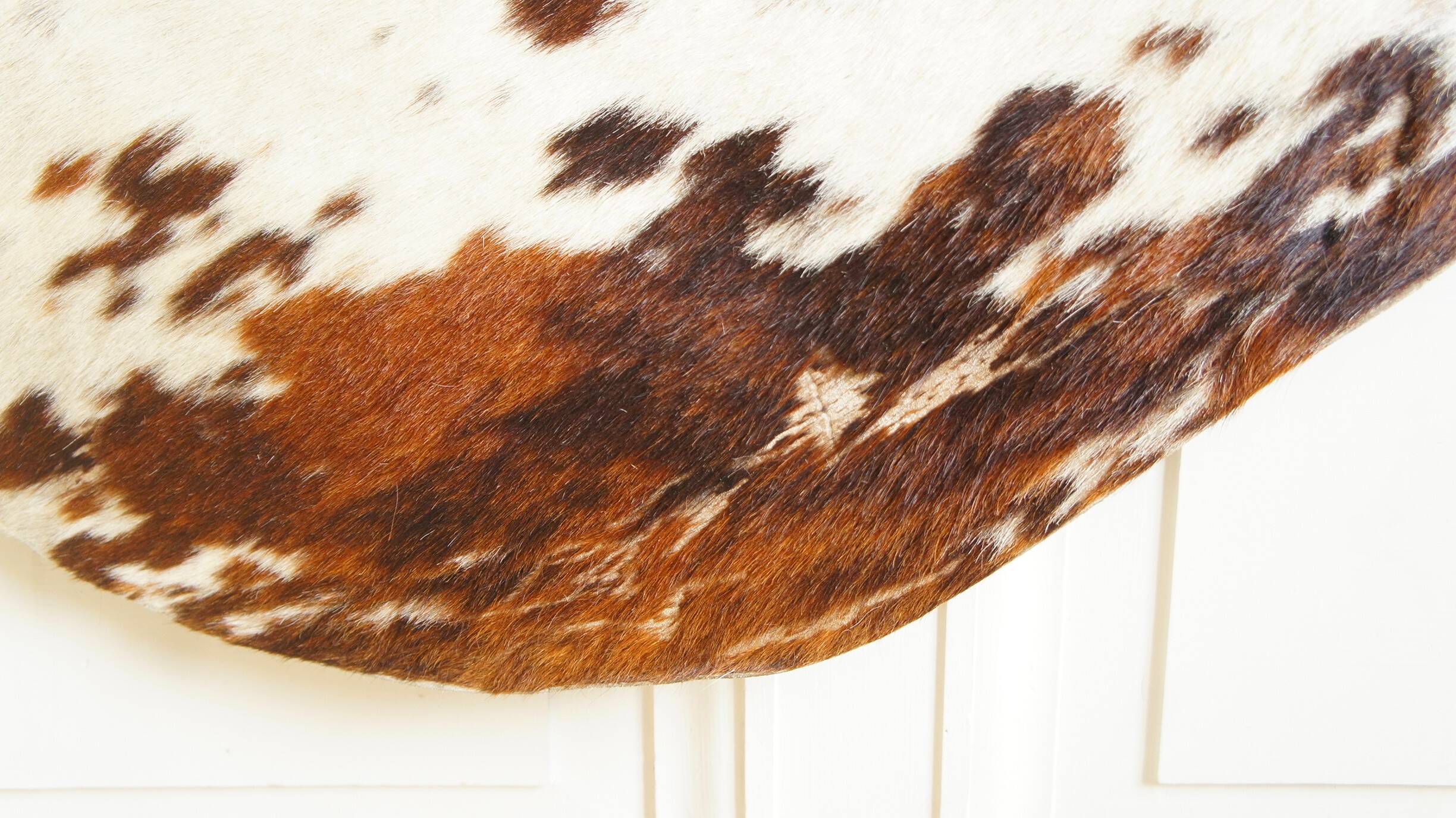 Cowhide rug 1970