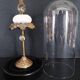 Cabinet de Curiosités globe avec oursin paracentrotus lividus