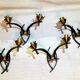 Maison arlus black and brass sconces with white opaline, france - a pair