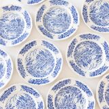 5 vintage collector's plates in pyroblan porcelain BP