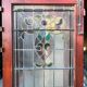 Late 19th century store doors, haberdashery front with Art Nouveau stained glass windows
