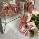 Barber triptych mirror