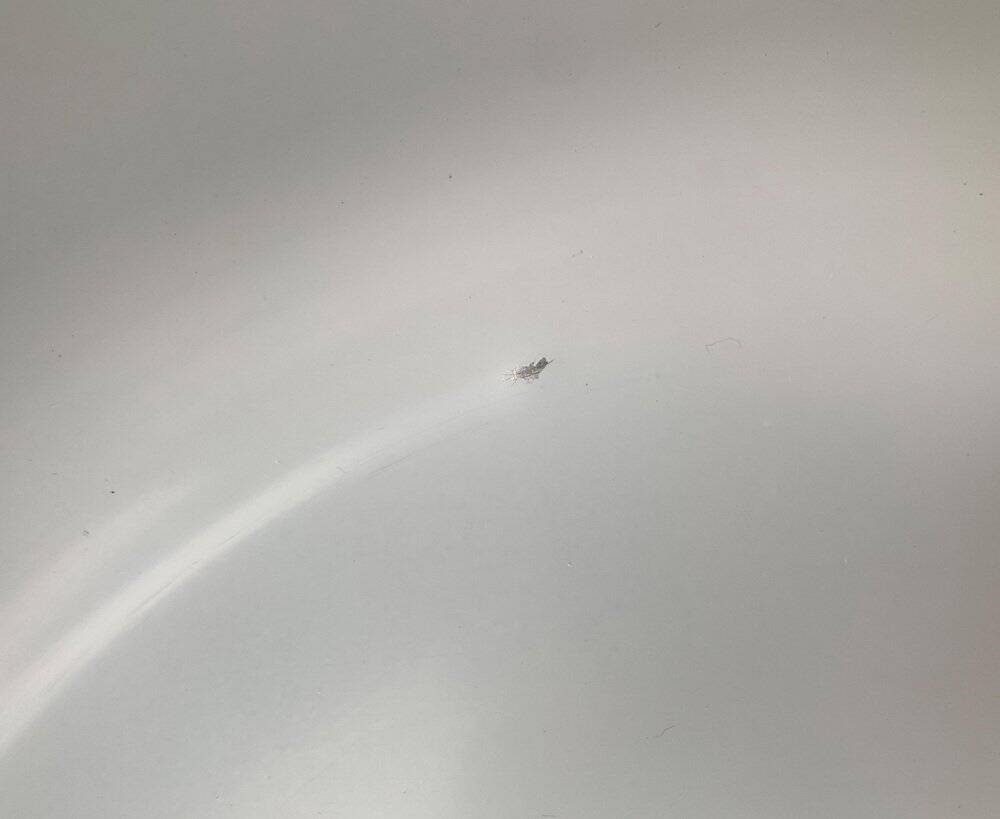 Mid-century space age mushroom table lamp, 1960s