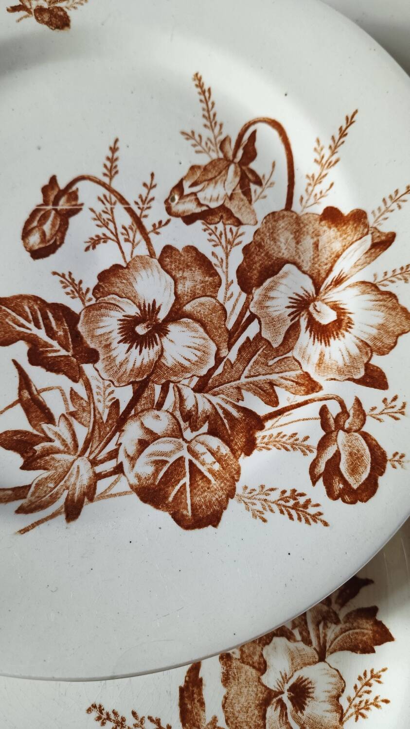 Salins ironware flat plates