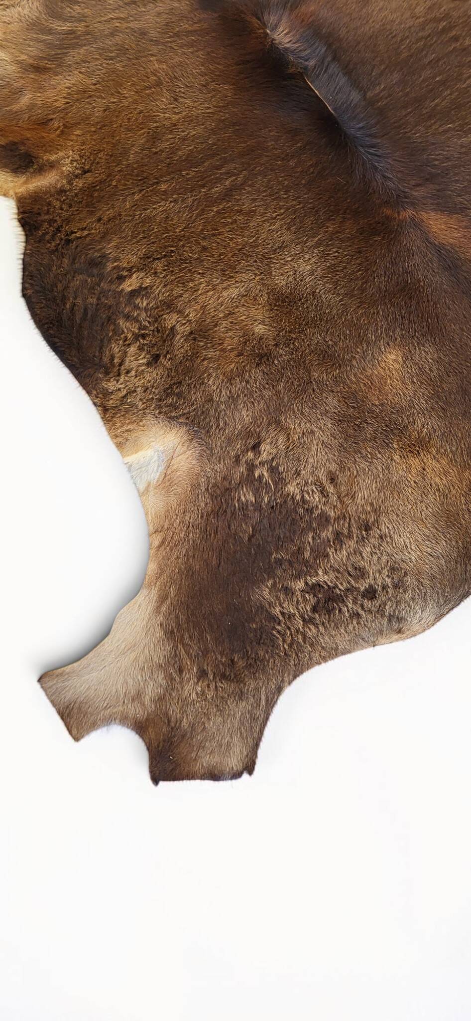Cowhide / calfskin