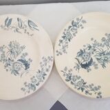 6 Longwy Ycho model flat plates in iron earthenware