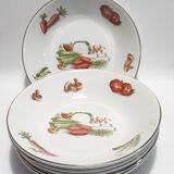 5 hollow plates Orchies Moulin des loups décor vegetables