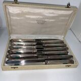 Coffret de 12 couteaux de table inox