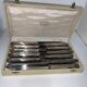 Coffret de 12 couteaux de table inox