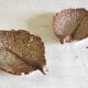 Stoneware bowls from Puisaye by Michel and Denise Pointu - 1950s/60s