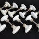 Set of 18 porcelain handles (B-0049-1)