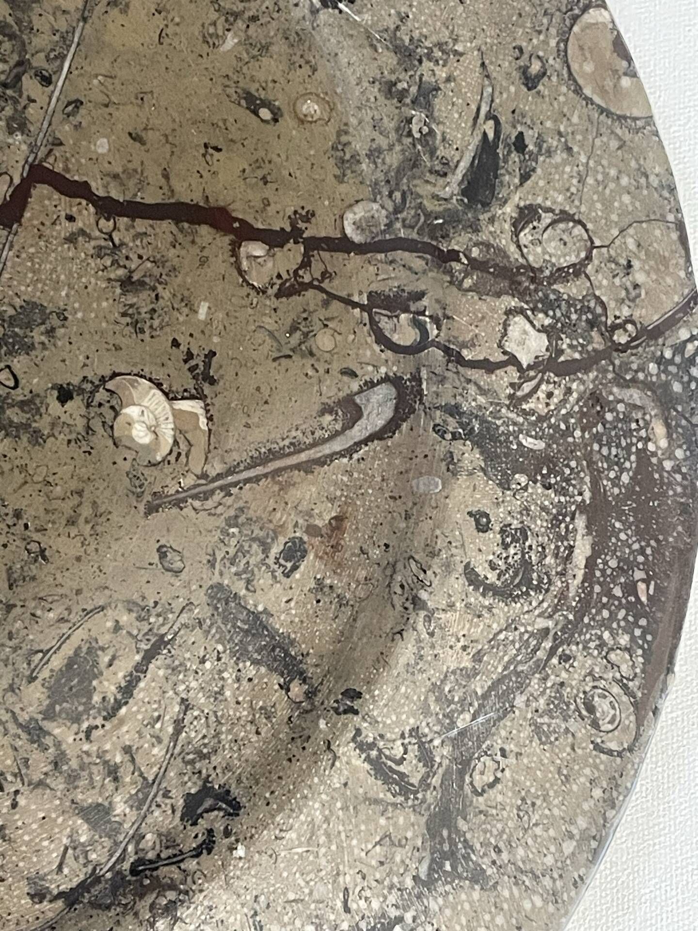 Round plate, fossil marble catch-all 35cm